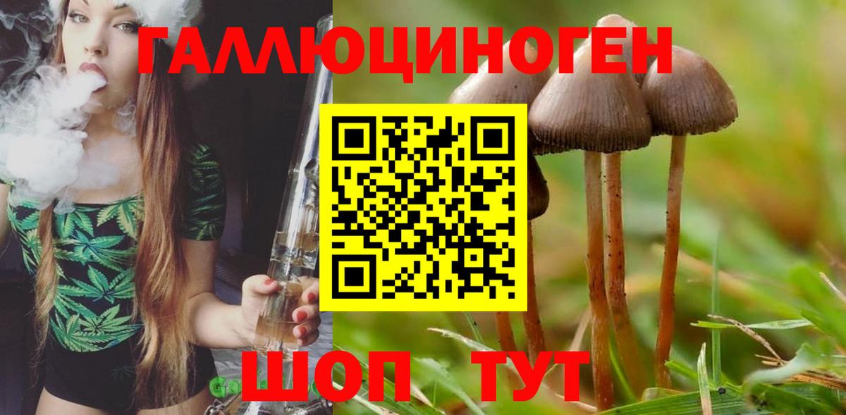 Жуковский  Галлюциногенные грибы Magic Shrooms  Вход с VPN  Галлюциногенные грибы Psilocybe 
