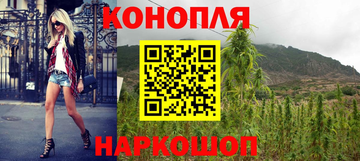 Каннабис OG Kush Жуковский